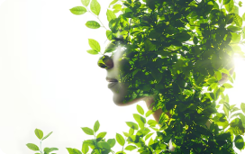 Reconnection with Nature