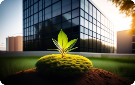 Revitalizing Our Elements